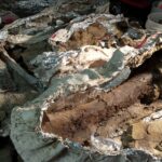 Free archaeology museum at the Missouri Institute of Natural Sciences