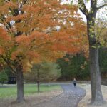 Strolling through vivid fall color on Galloway Creek Greenway